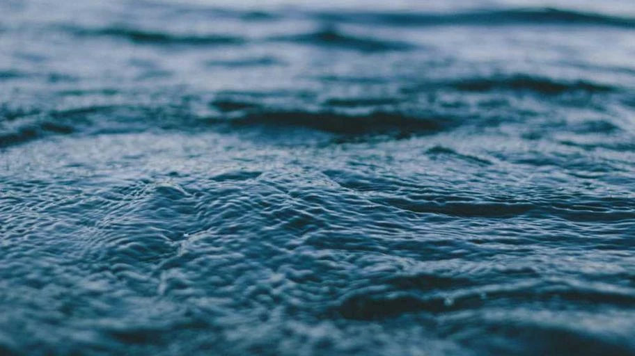Đồ vật văn hóa ở văn phòng