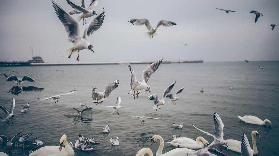 Mô hình chấm điểm FICO mới