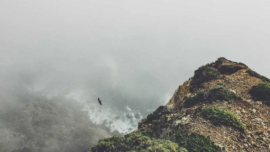 Người Việt dùng điện thoại